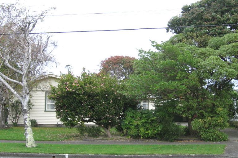 Photo of property in 19 Rosebank Avenue, Avalon, Lower Hutt, 5011
