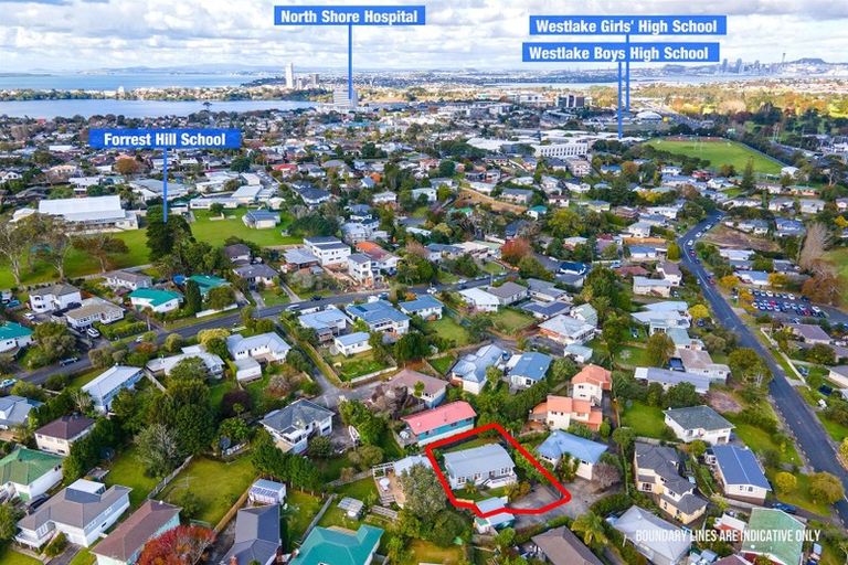 Photo of property in 1/48 Bond Crescent, Forrest Hill, Auckland, 0620