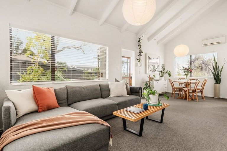 Photo of property in 46 Winchester Terrace, Bethlehem, Tauranga, 3110