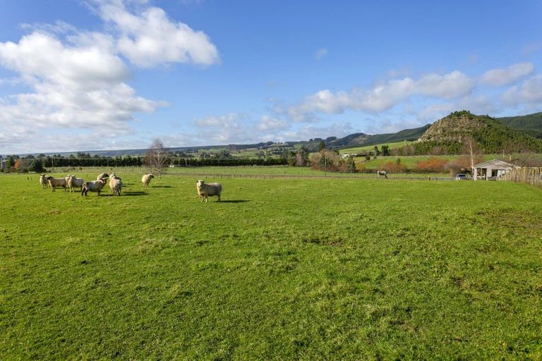 Photo of property in 180 White Road, Broadlands, Reporoa, 3081