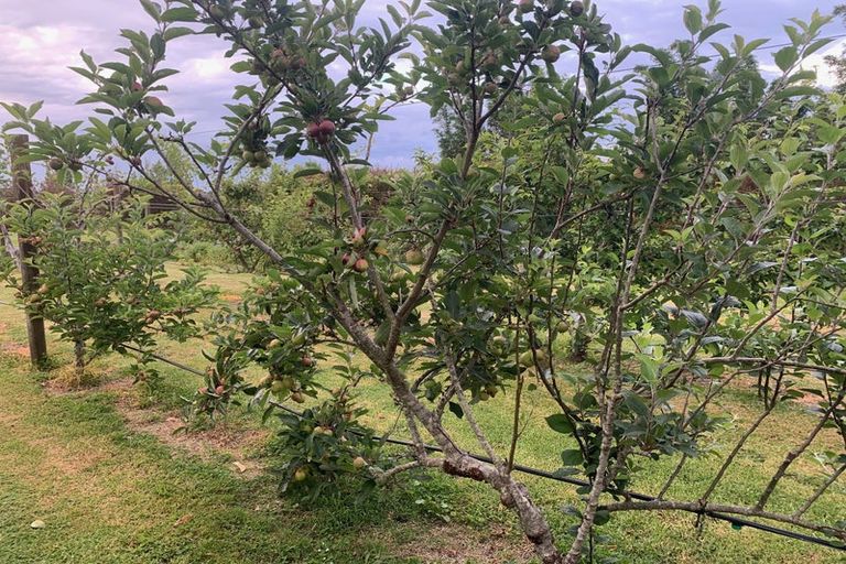 Photo of property in 70 Parore Street, Parore, Dargaville, 0372