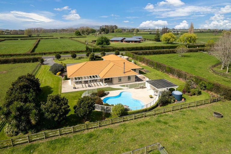 Photo of property in 13 Hogan Road, Cambridge, 3493