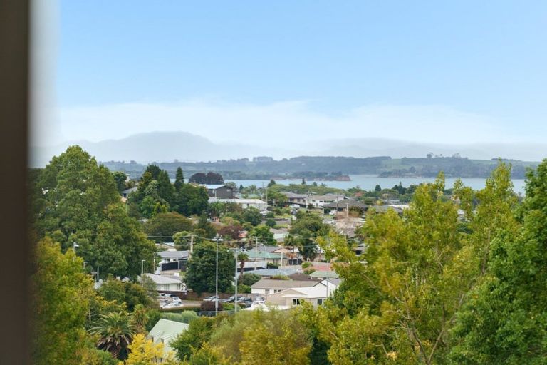 Photo of property in 33 Brookfield Terrace, Brookfield, Tauranga, 3110