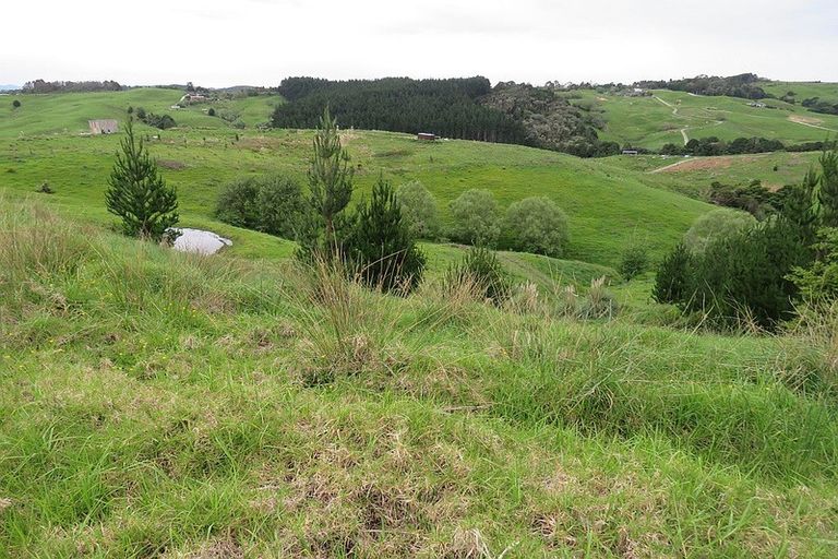 Photo of property in 289 Franklin Road, Paparoa, 0571