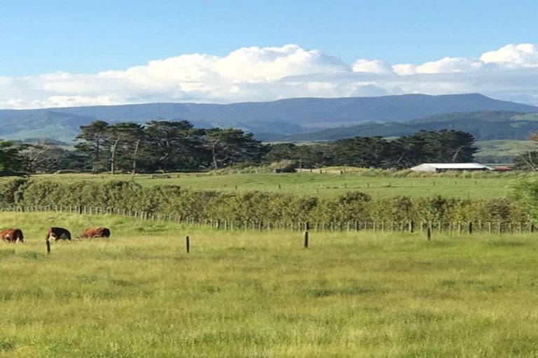 Photo of property in 56 Scottys Camp Road, Parore, Dargaville, 0373