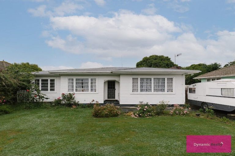 Photo of property in 166 Botanical Road, Takaro, Palmerston North, 4412
