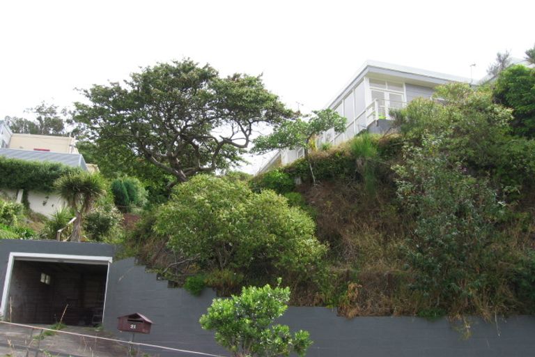 Photo of property in 31 Whaui Street, Vogeltown, Wellington, 6021
