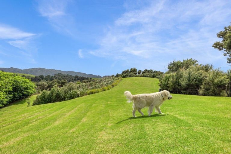 Photo of property in 33 Rua Road, Mangawhai, 0573