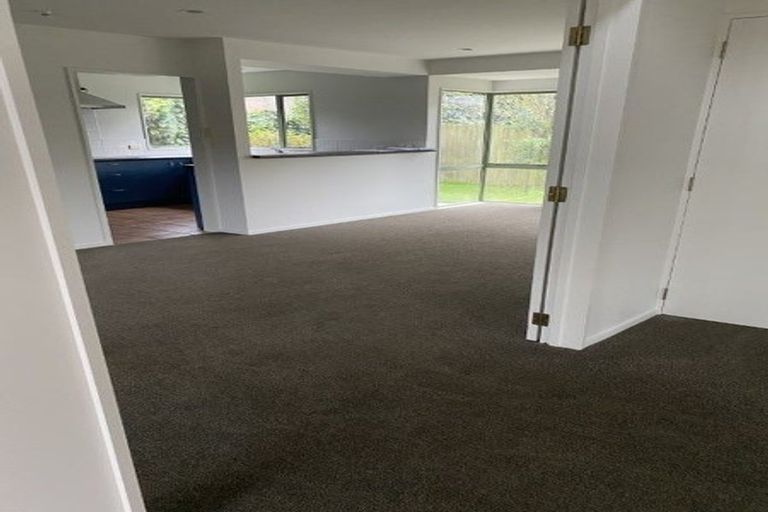 Photo of property in 49 Parade Court, Addington, Christchurch, 8024