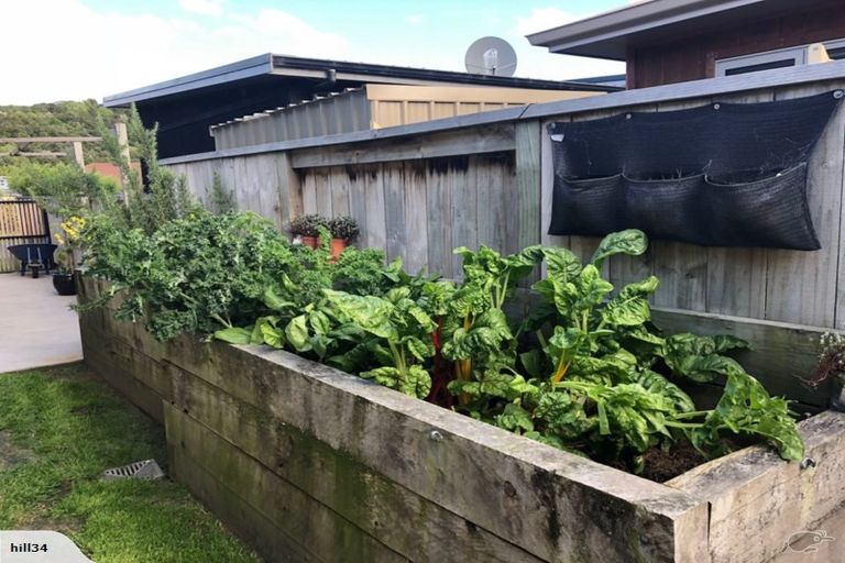 Photo of property in 3 Fender Close, Pyes Pa, Tauranga, 3112