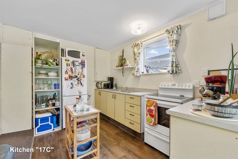 Photo of property in 17 Tavistock Road, Melrose, Wellington, 6023