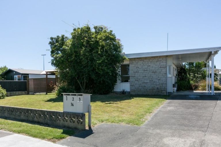 Photo of property in 1/36 Bristol Street, Tamatea, Napier, 4112