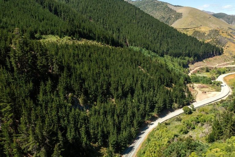 Photo of property in 6673 State Highway 63, Wairau Valley, Blenheim, 7271