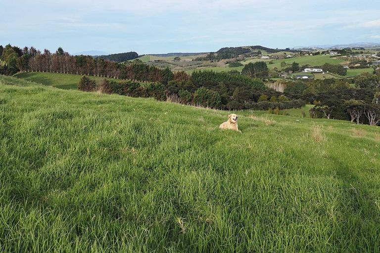 Photo of property in 64 De Boer Lane, Mangawhai, Kaiwaka, 0573