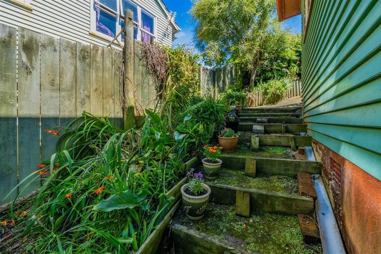 Photo of property in 56 Kotuku Street, Elsdon, Porirua, 5022