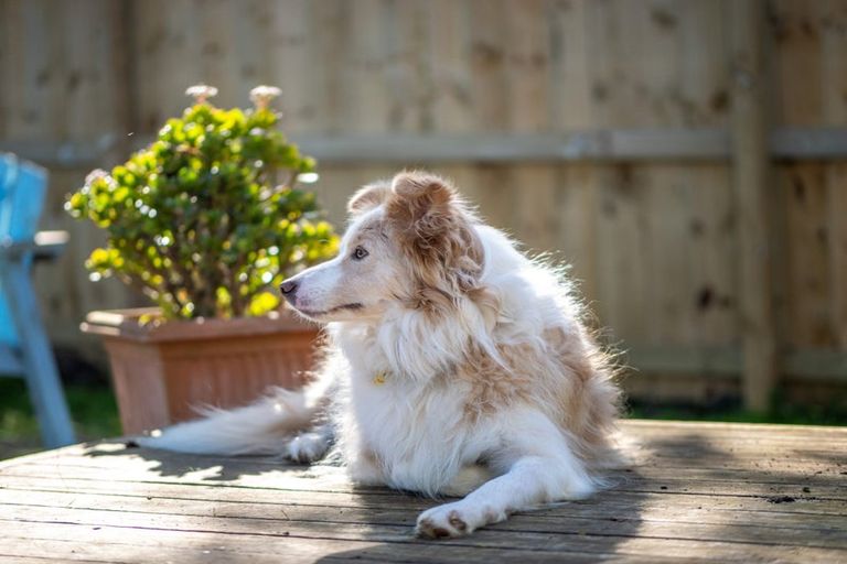 Photo of property in 4 Hone Heke Road, Kerikeri, 0230