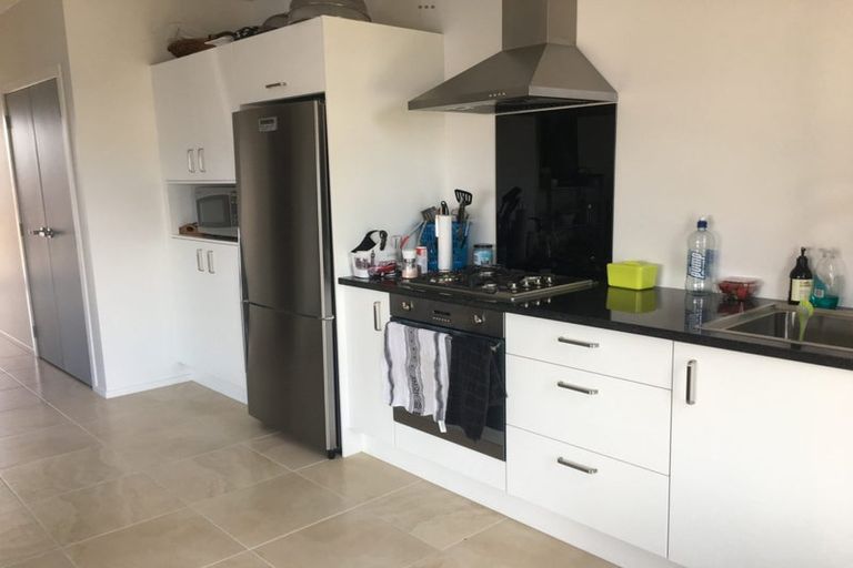 Photo of property in 29 Portland Lane, Chartwell, Hamilton, 3210