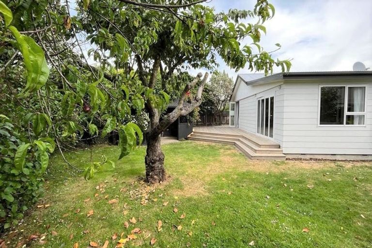 Photo of property in 51a Halswell Road, Hillmorton, Christchurch, 8025