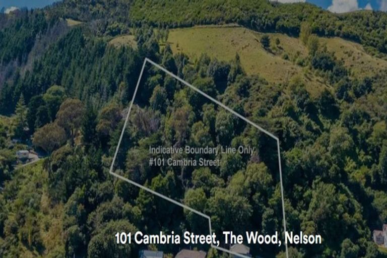 Photo of property in 101 Cambria Street, The Wood, Nelson, 7010