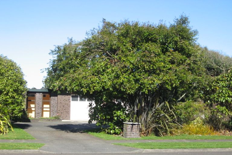 Photo of property in 6 Matipo Street, Levin, 5510