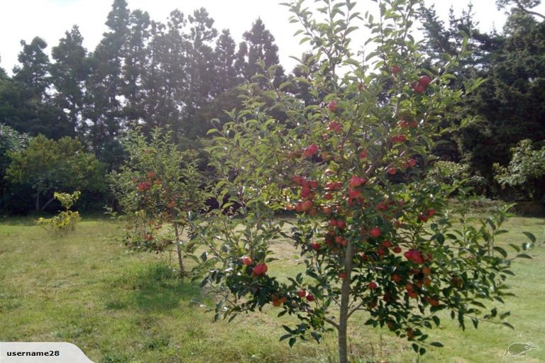 Photo of property in 499 Tara Road, Mangawhai, Kaiwaka, 0573