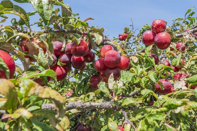 Photo of property in 582 Mclaughlins Road, Darfield, 7571