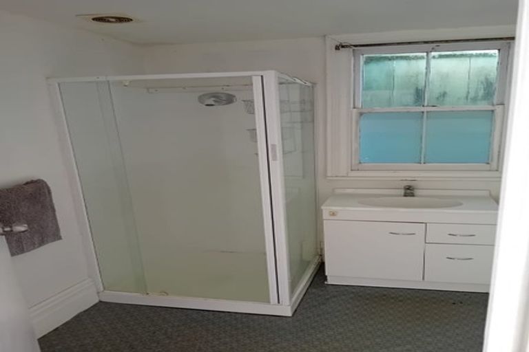 Photo of property in 35 Alexander Street, Kingsland, Auckland, 1021