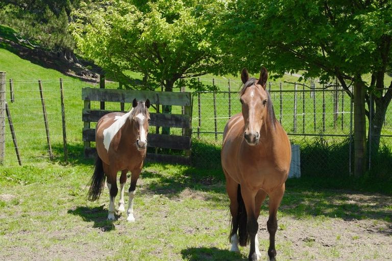 Photo of property in 759 State Highway 1, Wairakei, Taupo, 3384