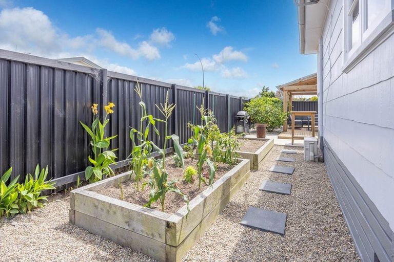 Photo of property in 194 Clarkin Road, Fairfield, Hamilton, 3214