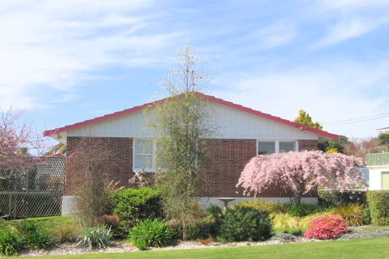 Photo of property in 168 Otonga Road, Springfield, Rotorua, 3015