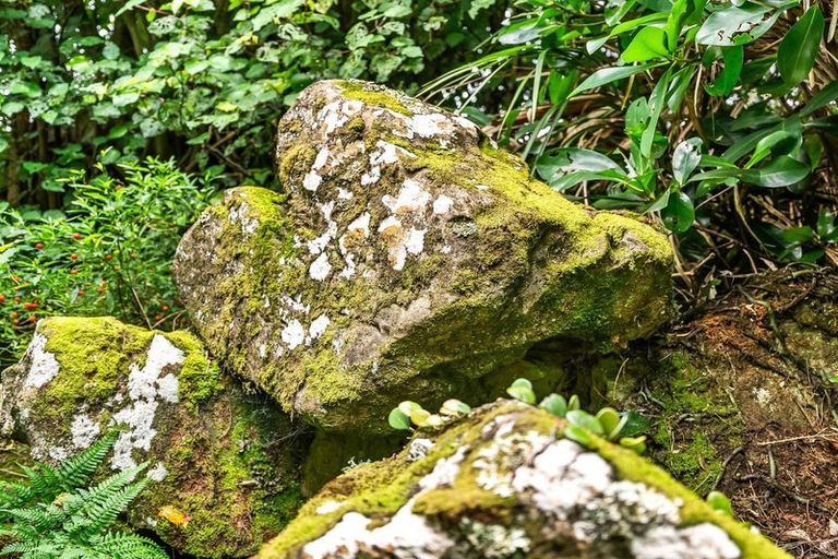 Photo of property in 44 Brenda Gardner Way, Maunu, Whangarei, 0179