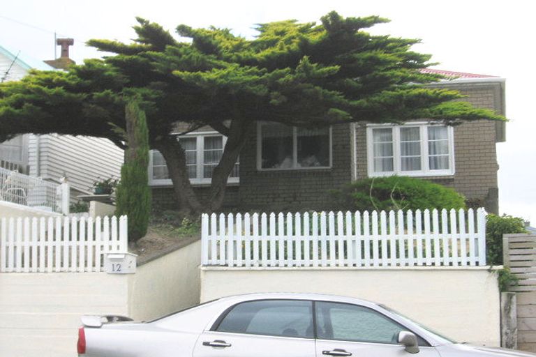 Photo of property in 12 Duppa Street, Berhampore, Wellington, 6023