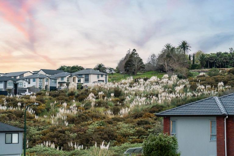 Photo of property in 5 Riwai Street, Flat Bush, Auckland, 2019