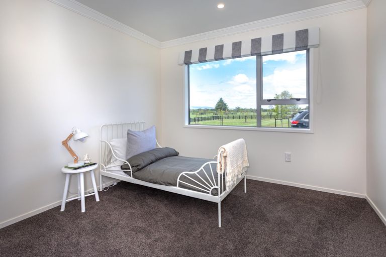 Photo of property in 173 Station Road, Matamata, 3472