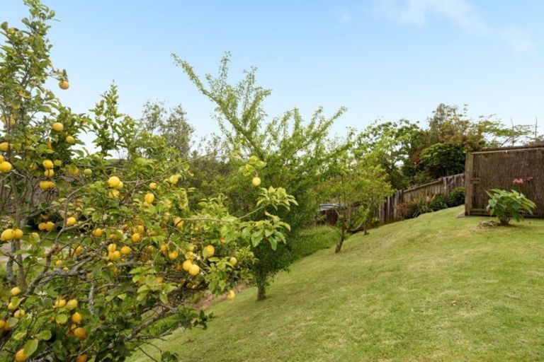 Photo of property in 93 Stableford Drive, Pyes Pa, Tauranga, 3112