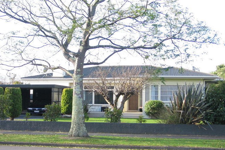 Photo of property in 395 Ruahine Street, Terrace End, Palmerston North, 4410
