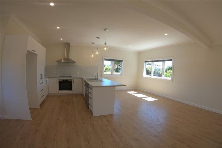 Photo of property in 161 Rimu Street, Maeroa, Hamilton, 3200