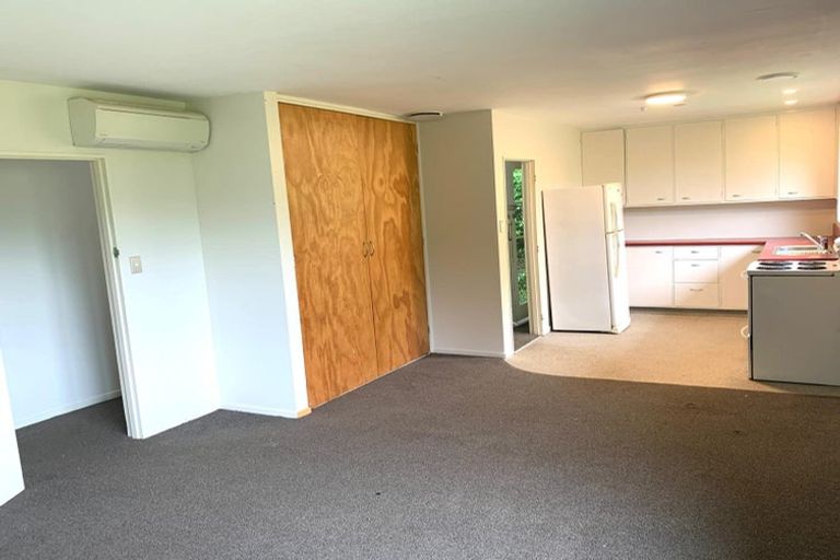 Photo of property in 36 Norway Street, Aro Valley, Wellington, 6012