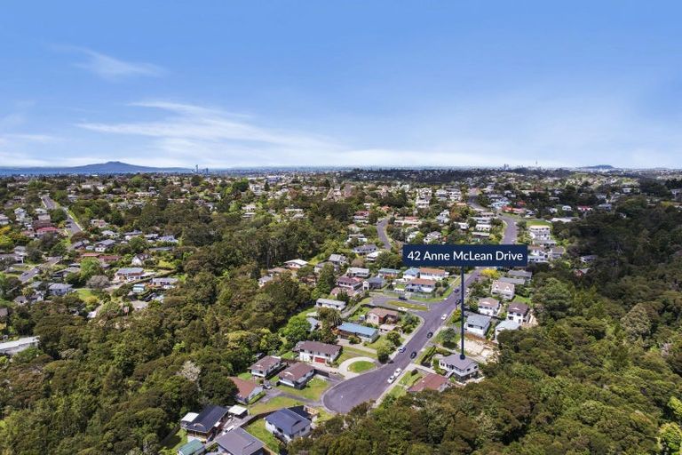 Photo of property in 42 Anne Mclean Drive, Bayview, Auckland, 0629