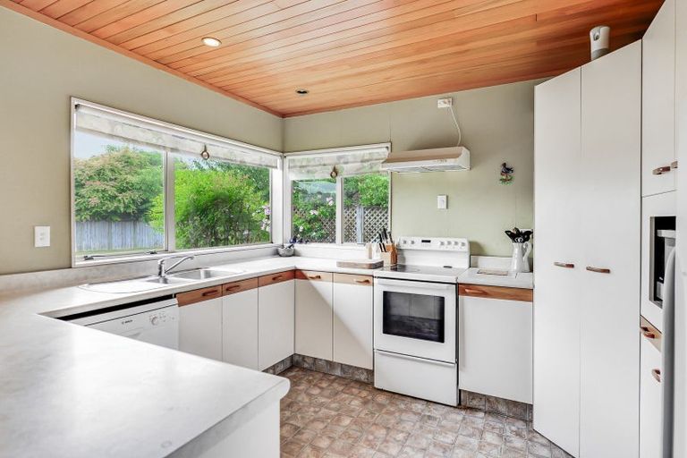 Photo of property in 47f Naylor Street, Hamilton East, Hamilton, 3216