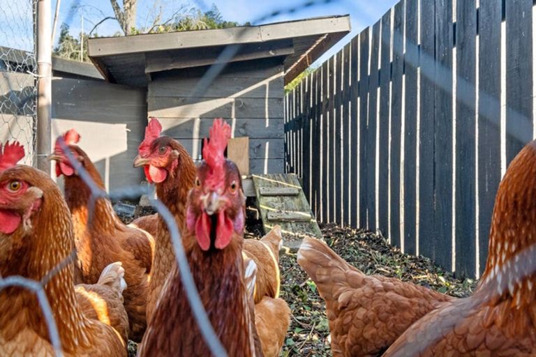 Photo of property in 1177b Cameron Road, Gate Pa, Tauranga, 3112