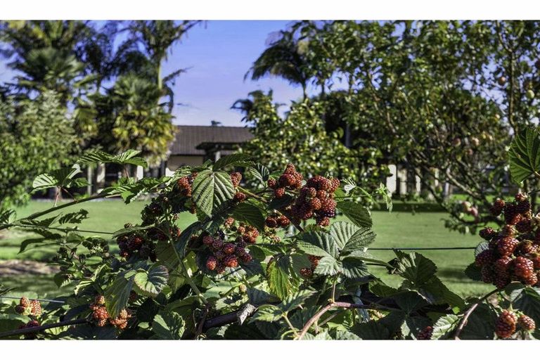 Photo of property in 108 Waitotara Drive, Waipapa, 0230