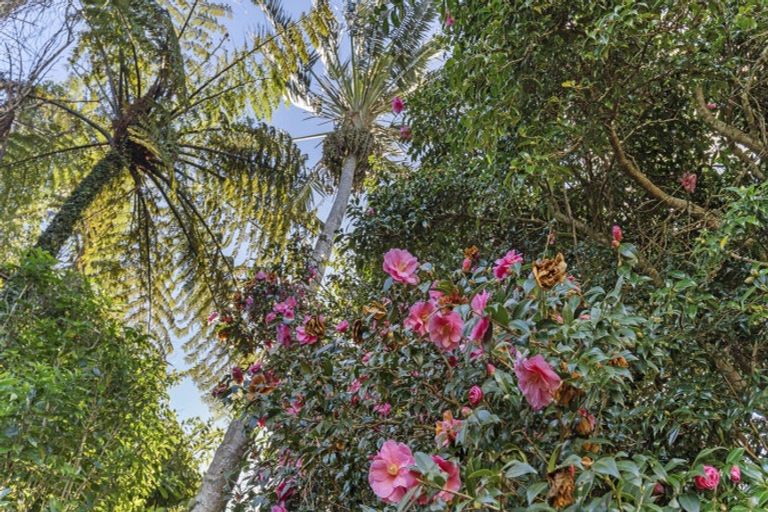 Photo of property in 20 Frankley Road, Westown, New Plymouth, 4310