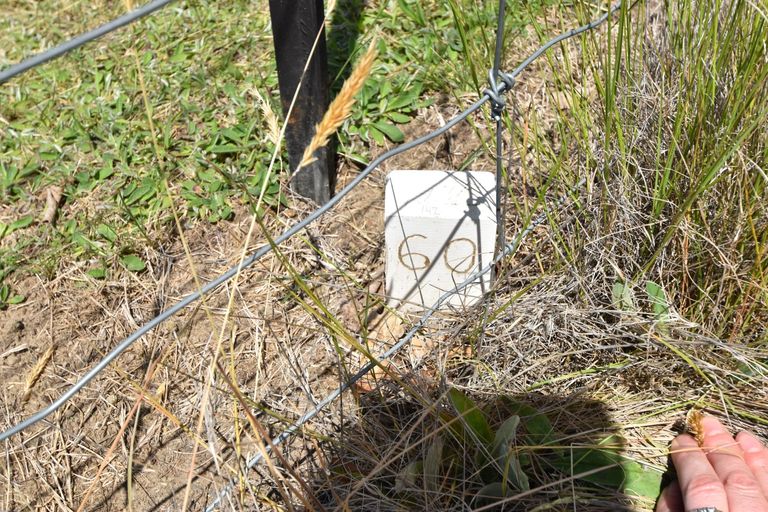 Photo of property in 23 Peak Drive, Twizel, 7901