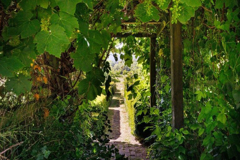 Photo of property in 1314 Pohangina Road, Pohangina, Ashhurst, 4884