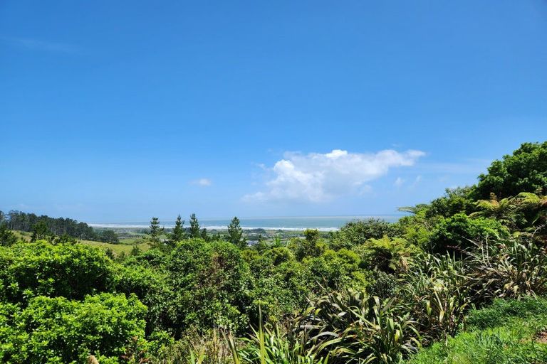 Photo of property in 19 Tasman View Road, Paroa, Greymouth, 7805