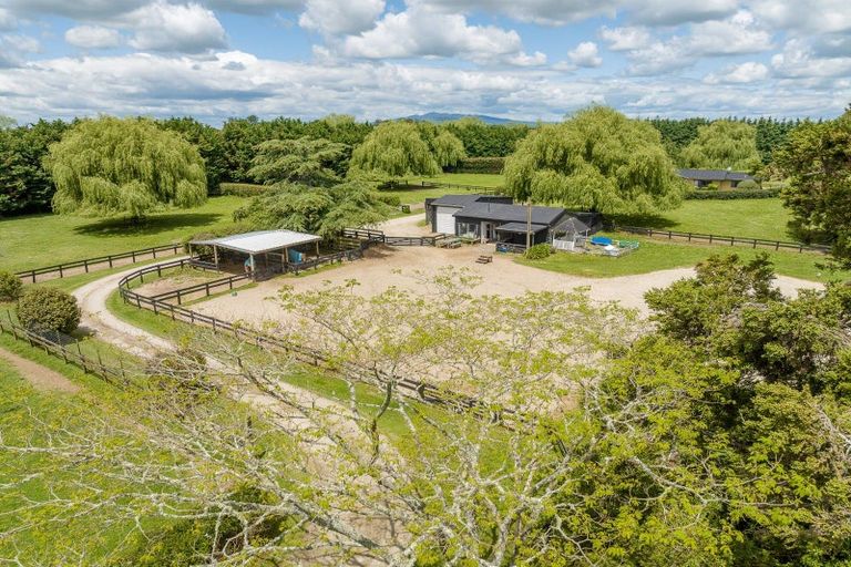 Photo of property in 191 Hautapu Road, Pukemoremore, Cambridge, 3493