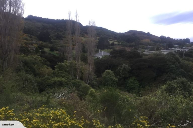 Photo of property in 14 Kowhai Street, Ravensbourne, Dunedin, 9022