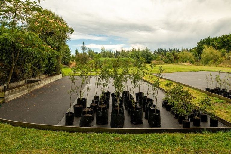 Photo of property in 409a Springbank Road, Swannanoa, Rangiora, 7471