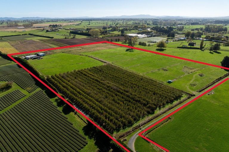 Photo of property in 503b Gordonton Road, Gordonton, Hamilton, 3281